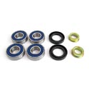 EPI Performance Rear Independent Suspension Can-Am Models