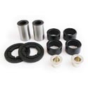 EPI Performance Rear Swing Arm - Control Arm, Bushing Kit Polaris Models