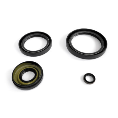 Prairie / Brute Force / Twin Peaks Front Differential Seal Kit - WE290103