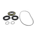 Outlander / Renegade Rear Differential Seal Kit - WE290115