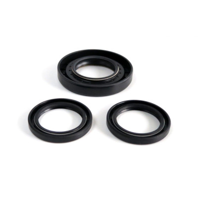 Foreman 500 Rear Differential Seal Kit - WE290120