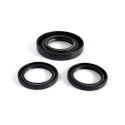 Foreman 500 Rear Differential Seal Kit - WE290120