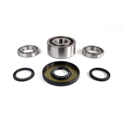 Ace / Ranger/ General/ RZR Front Differential Bearing and Seal Kit - WE290126