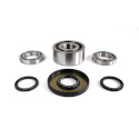 Ace / Ranger/ General/ RZR Front Differential Bearing and Seal Kit - WE290126