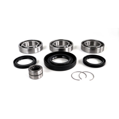 Foreman/Rancher Rear Differential Bearing and Seal Kit - WE290128